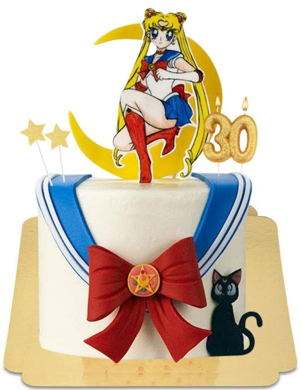  Sailor moon vintage manga torta vegana, senza glutine - 10