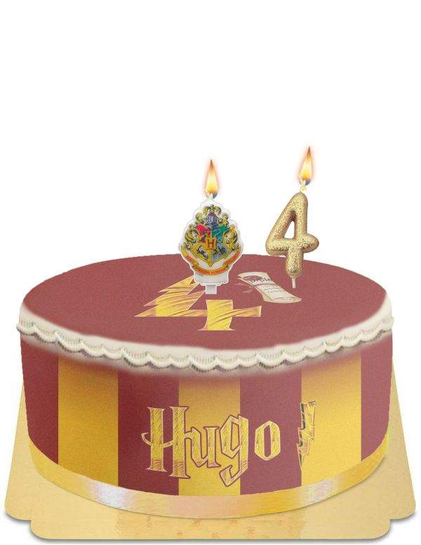HappyTorta.it Harry Potter Chocolate Frog Cake Senza Uova, Vegetariana e Senza Glutine - 28