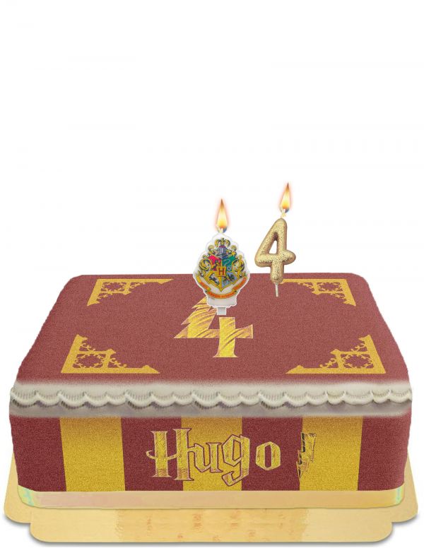 HappyTorta.it Torta di Harry Potter Quidditch senza uova, vegetariana e senza glutine - 7
